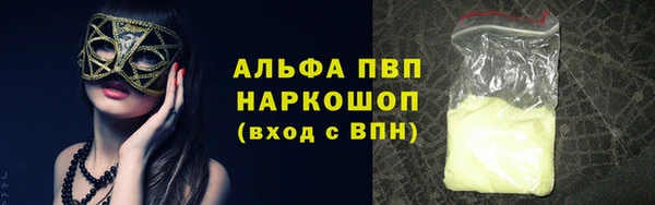 ешки Аркадак