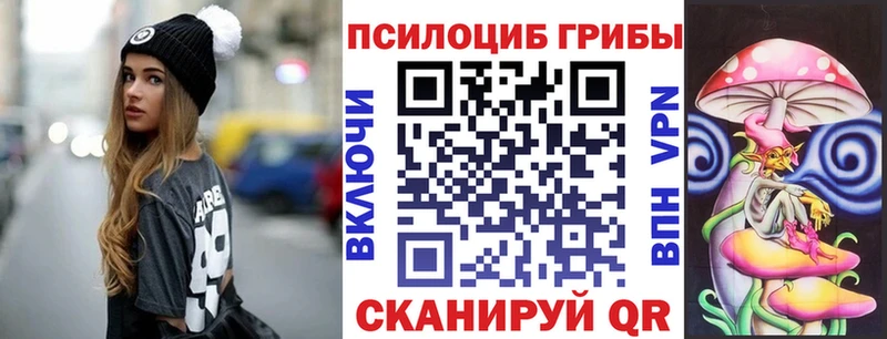 магазин продажи Петропавловск-Камчатский kraken ТОР Псилоцибиновые грибы GOLDEN TEACHER
