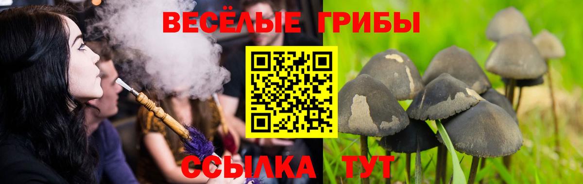 Галлюциногенные грибы ЛСД Петропавловск-Камчатский